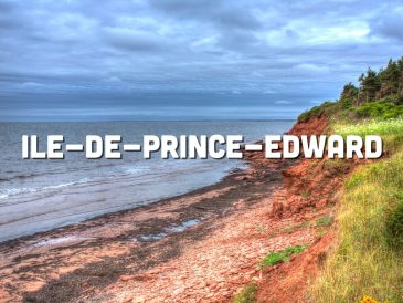 découvrez l'île du prince édouard en 2025, une destination idyllique alliant paysages époustouflants, plages de sable fin et culture vibrante. explorez ses charmants villages, savourez des fruits de mer frais et profitez d'activités de plein air tout au long de l'année.