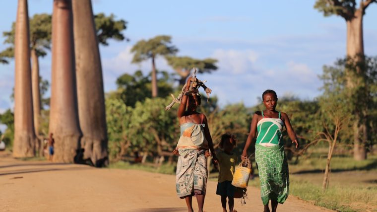découvrez madagascar, l'île aux trésors de l'océan indien, réputée pour sa biodiversité unique, ses paysages à couper le souffle, ses plages paradisiaques et sa culture fascinante. explorez ses parcs nationaux, ses villages traditionnels et savourez sa cuisine locale. une aventure inoubliable vous attend !
