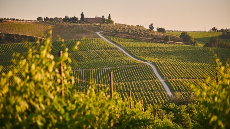 découvrez la beauté envoûtante de la toscane, une région d'italie célèbre pour ses paysages pittoresques, ses vignobles prestigieux, et ses villes historiques riches en culture. explorez florence, sienne et pise tout en savourant la délicieuse cuisine toscane.