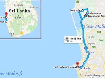 découvrez un itinéraire complet de 7 jours au sri lanka pour 2025 : lieux incontournables, conseils pratiques et meilleures activités pour un voyage inoubliable sur l’île aux merveilles.