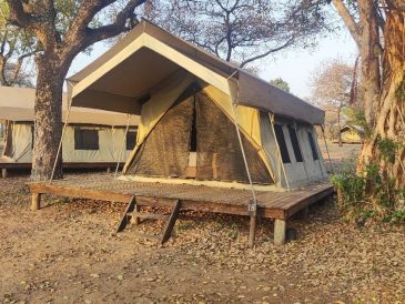 découvrez les aventures inoubliables du safari unyati 2025 : explorez la nature sauvage, observez des animaux majestueux et vivez une expérience authentique au cœur de l’afrique.
