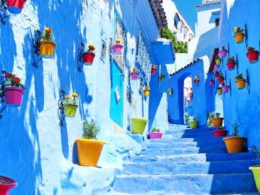 découvrez les meilleurs bons plans maroc 2025 : voyages, hébergements, activités et offres exclusives pour profiter pleinement de votre séjour au maroc, tout en réalisant des économies !