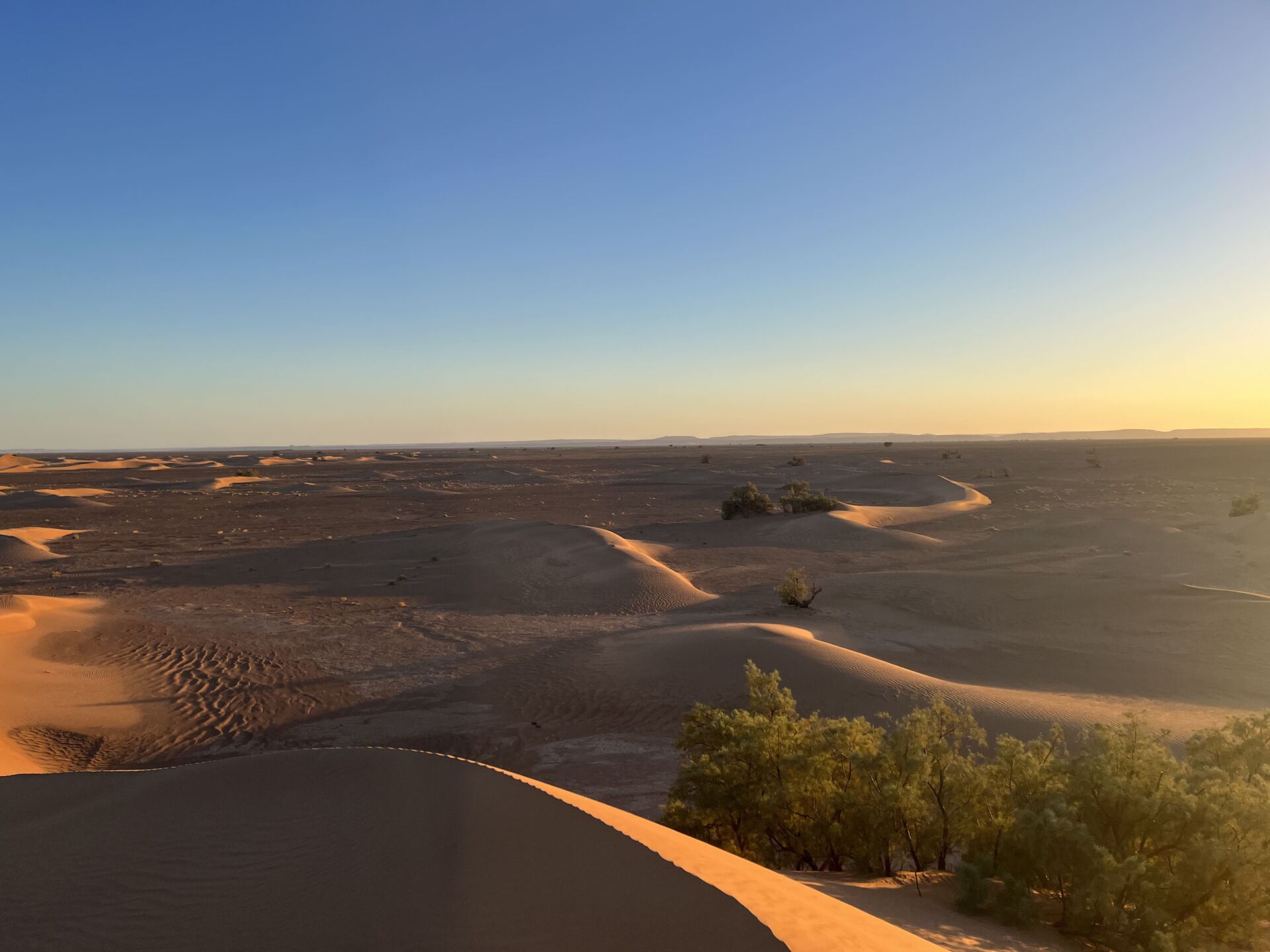 partez à l'aventure avec exploration dunes d'or 2025 et découvrez des paysages époustouflants, des activités passionnantes et des expériences inoubliables au cœur des dunes dorées.