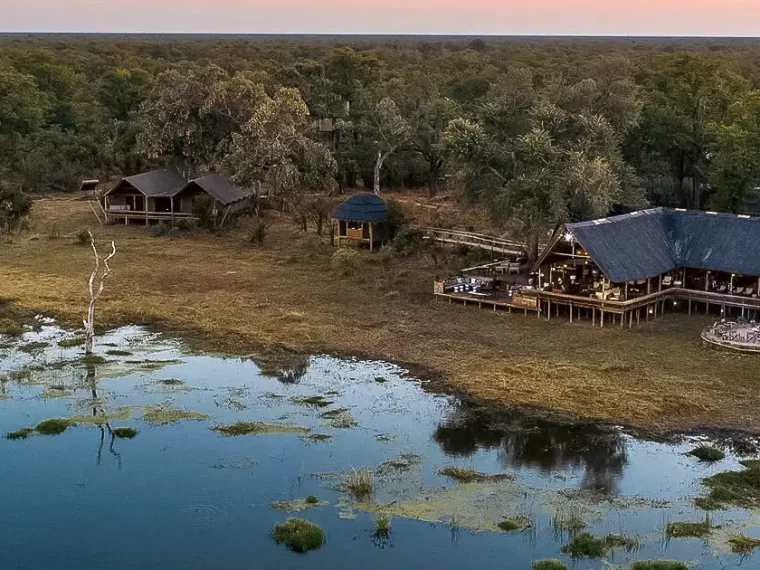 découvrez pourquoi choisir pan safari lodge en 2025 pour une expérience unique de safari, alliant confort, aventure et immersion dans la nature exceptionnelle.