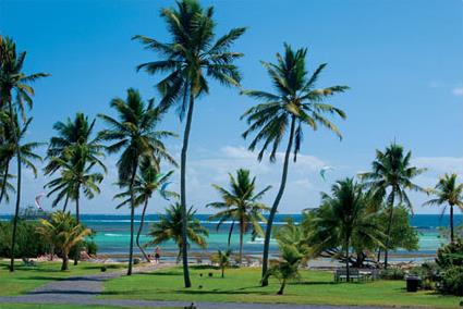 découvrez cap est martinique 2025, un événement incontournable mettant en avant la culture, le tourisme et les initiatives durables de la martinique pour un avenir prometteur.