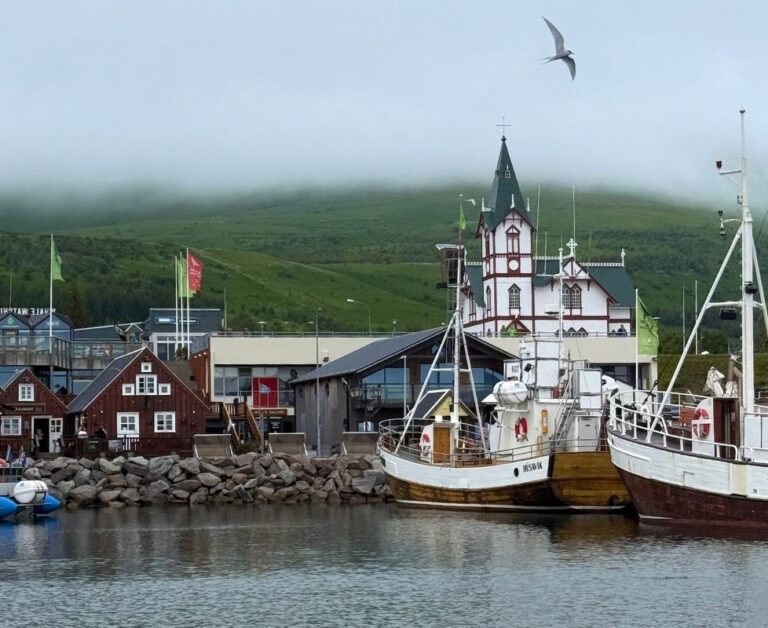 découvrez un itinéraire complet pour 5 jours en islande en 2025, incluant les incontournables paysages naturels, des conseils pratiques et des activités incontournables pour un voyage inoubliable.