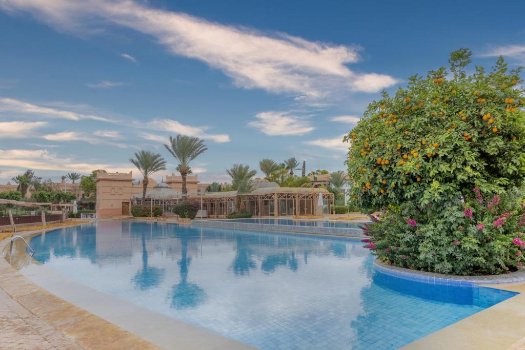 découvrez un séjour luxe inoubliable à la palmeraie de marrakech en 2025, alliant confort raffiné, nature exotique et expériences exclusives.