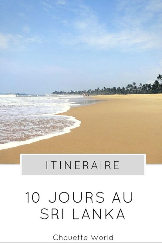 découvrez un itinéraire complet de 10 jours au sri lanka en 2025 avec des conseils pratiques pour explorer les incontournables, optimiser votre voyage et vivre une expérience inoubliable.