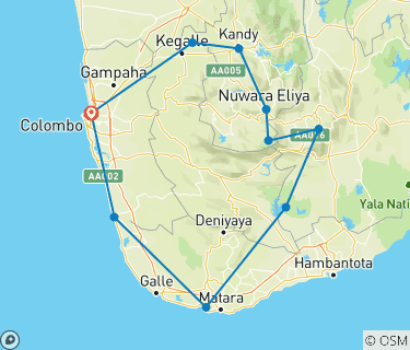 découvrez un itinéraire complet de 10 jours au sri lanka en 2025, avec des conseils pratiques pour un voyage inoubliable entre culture, nature et aventures.
