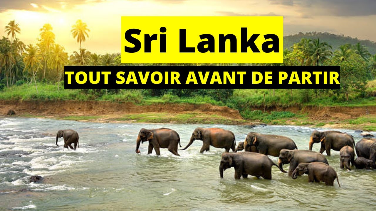 découvrez un itinéraire complet de 10 jours au sri lanka en 2025, avec des conseils pratiques pour un voyage inoubliable alliant culture, nature et aventure.