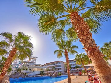 découvrez bh hotel magaluf 2025 : confort moderne, emplacement idéal et services exceptionnels pour des vacances inoubliables à majorque.