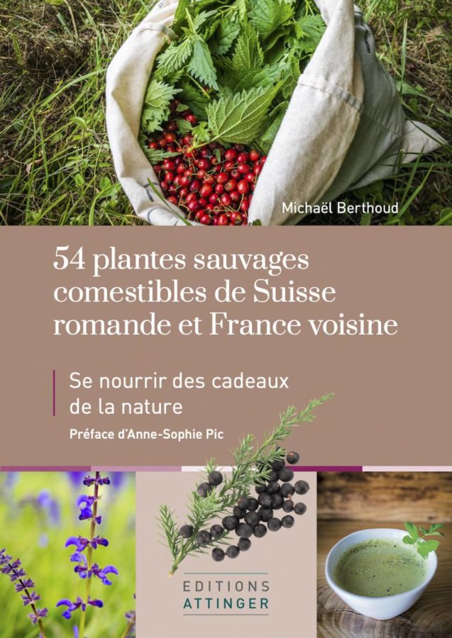 découvrez comment identifier les herbes blanches et apprenez leurs usages quotidiens pour enrichir votre jardin et votre cuisine.