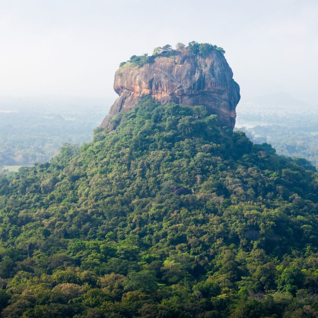 découvrez un itinéraire complet de 10 jours au sri lanka en 2025, alliant culture, nature et aventure pour un voyage inoubliable.