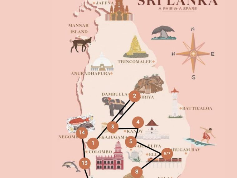 découvrez un itinéraire complet de 10 jours au sri lanka en 2025, alliant culture, nature et aventures pour un voyage inoubliable.